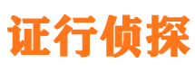 龙山侦探公司